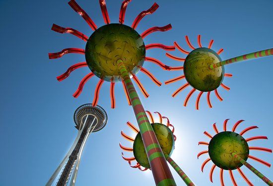 Sonic Bloom By Dan Corson